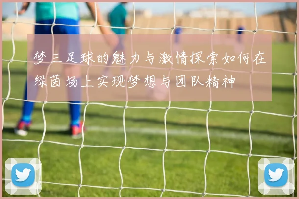 梦三足球的魅力与激情探索如何在绿茵场上实现梦想与团队精神