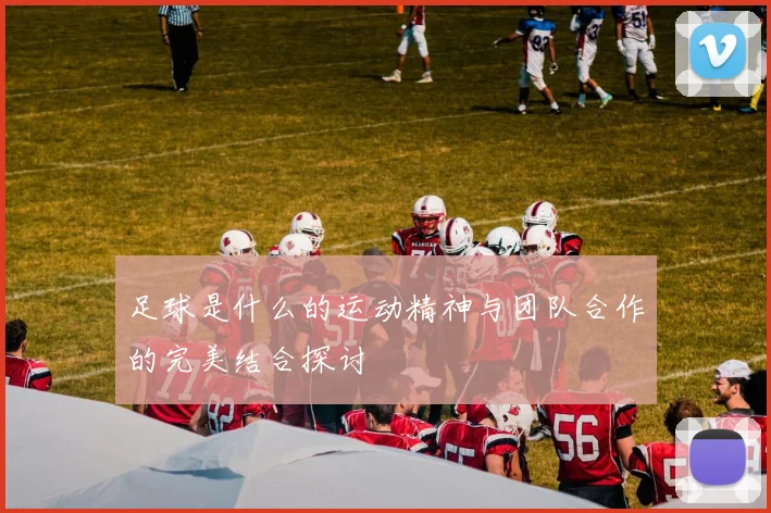 足球是什么的运动精神与团队合作的完美结合探讨
