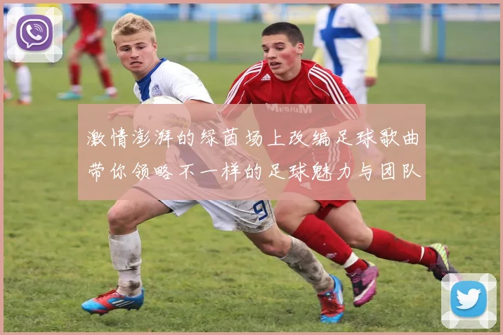 激情澎湃的绿茵场上改编足球歌曲带你领略不一样的足球魅力与团队精神