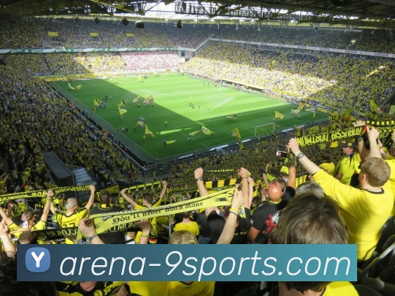 九游中心品牌故事